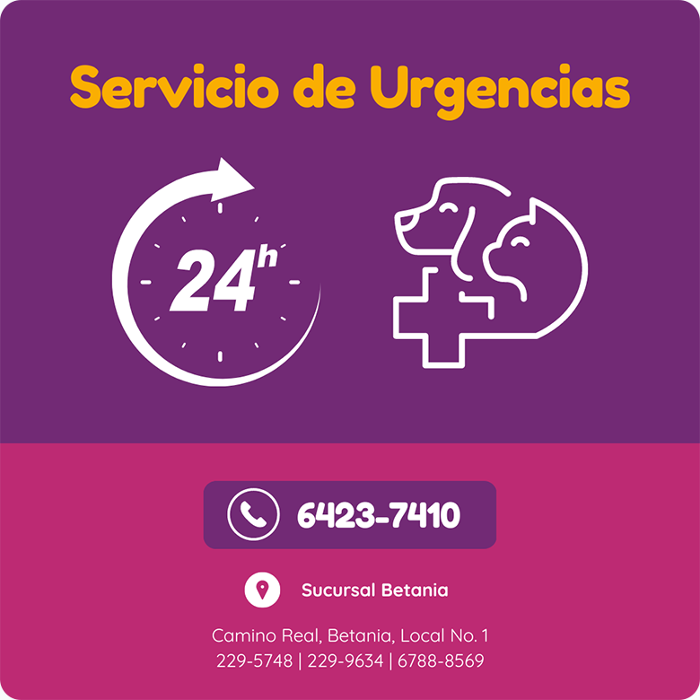 ServicioUrgencias24horas